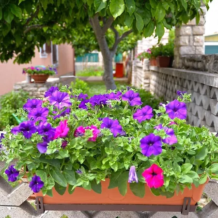 Apartment Fuer 5 Personen Ca 55 Qm In Novigrad, Istrien Istrische Riviera *